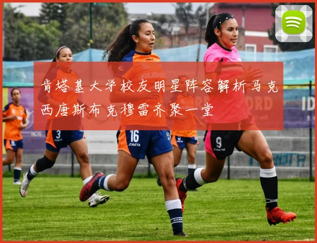 肯塔基大学校友明星阵容解析马克西唐斯布克穆雷齐聚一堂