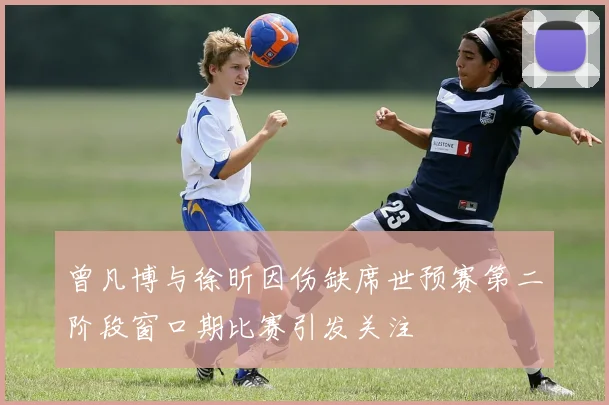 曾凡博与徐昕因伤缺席世预赛第二阶段窗口期比赛引发关注