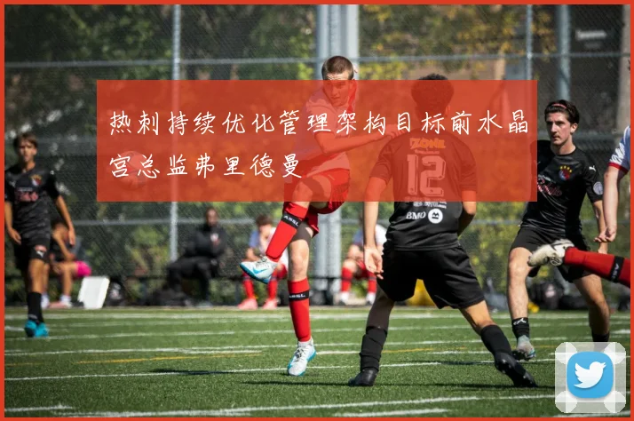 热刺持续优化管理架构目标前水晶宫总监弗里德曼