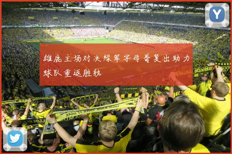 雄鹿主场对决绿军字母哥复出助力球队重返胜轨