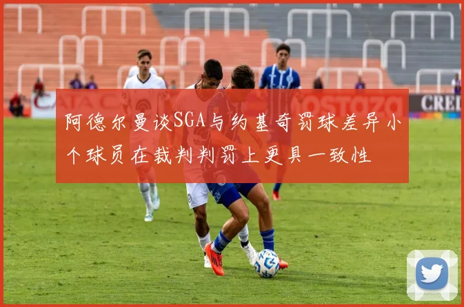 阿德尔曼谈SGA与约基奇罚球差异小个球员在裁判判罚上更具一致性